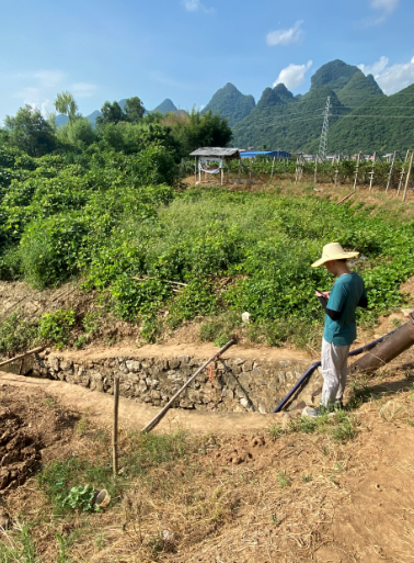 平乐土地整治